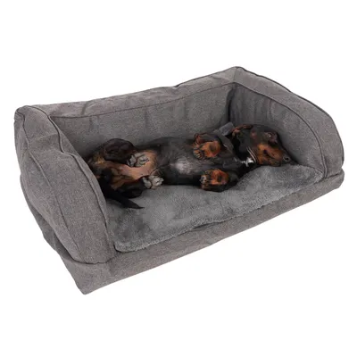 Graues Hundebett mit weicher Polsterung, darauf liegt ein Dackel entspannt auf dem Rücken.