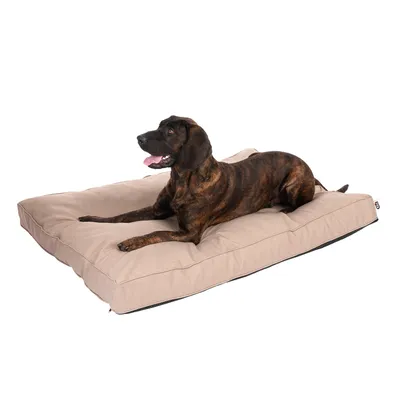 Hund liegt auf einem grossen, beigen Hundekissen. Kissen mit rechteckiger Form und sichtbarer Polsterung.