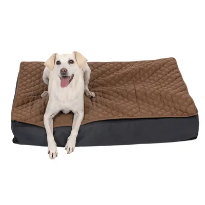 Hund liegt auf einem braunen, gesteppten Hundebett mit schwarzem Unterteil.