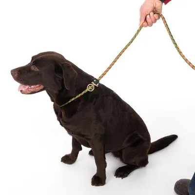 TIAKI Retrieverlijn Twist