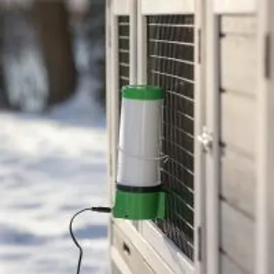 Podgrzewany poidło z zieloną pokrywą, zamontowane na zewnętrznej klatce dla zwierząt, przewód zasilający podłączony do urządzenia.