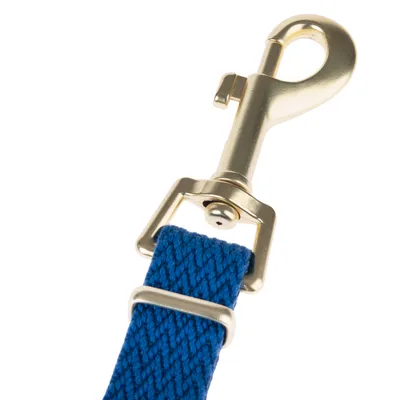Nahaufnahme eines goldfarbenen Karabinerhakens mit blauem, gewebtem Band. Geeignet für Befestigung oder Verbindung.