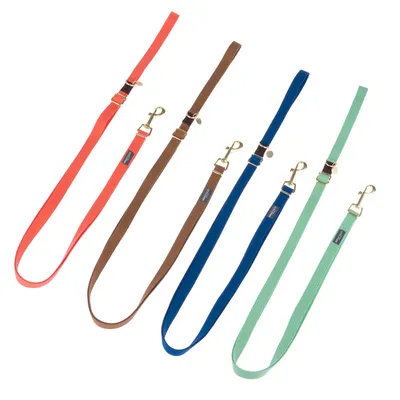 Quatre laisses pour chien en tissu, couleurs rouge, marron, bleu et vert, avec mousquetons métalliques dorés et étiquettes visibles sur chaque laisse.