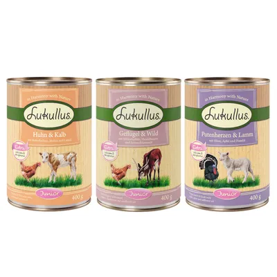 Three Lukullus Junior 400g tins with visible flavours: chicken and veal, poultry and game, turkey hearts and lamb. Each tin highlights extra calcium and phosphorus.