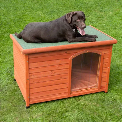Animal lying on top of a wooden outdoor kennel with an arched entrance and plastic flap, shown on grass to demonstrate use and size.