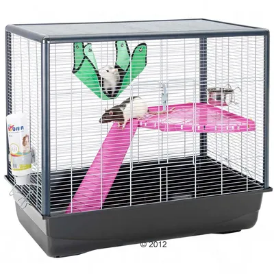 Bur för smådjur med två råttor, grön hängmatta, rosa ramp och hylla, vattenflaska märkt BIBA samt matskål i metall.