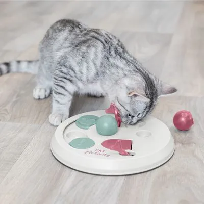 Grijze kat bij wit interactief speelgoed met groene en roze elementen, tekst 'Cat Activity' zichtbaar op het bord.