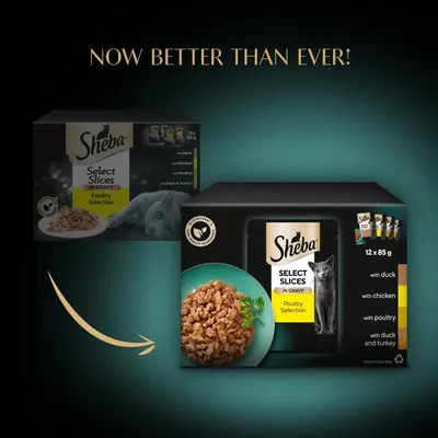 Comparison of old and new Sheba Select Slices in Gravy Poultry Selection packaging, highlighting improved product with 12 x 85g packs containing duck, chicken, poultry, and duck with turkey.