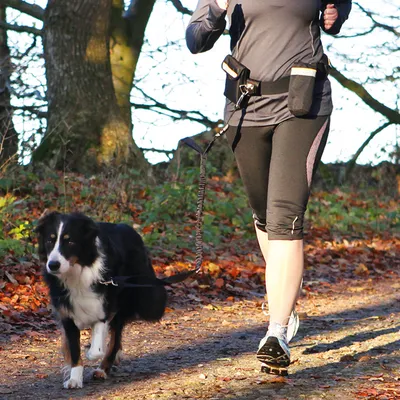 Jogger med hund, kopplade med ett elastiskt handsfree-koppel, lämpligt för utomhusaktiviteter.