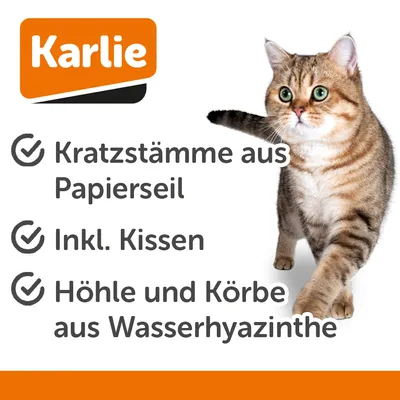 Arbre à chat Karlie Scuro I