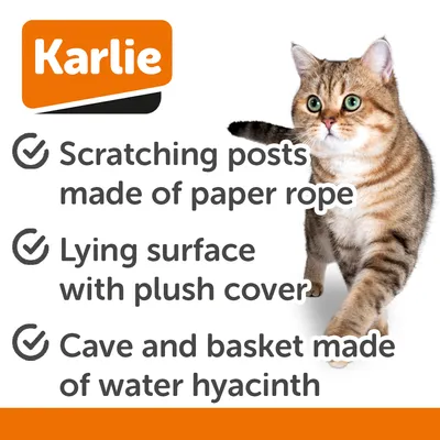 Karlie Scuro II kaparófa