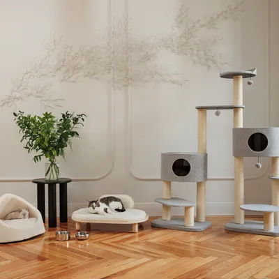 Living room with cat tree made of grey fabric and sisal, cat bed, resting area with cat, two food bowls and plant on table. Decorative wall design in background.