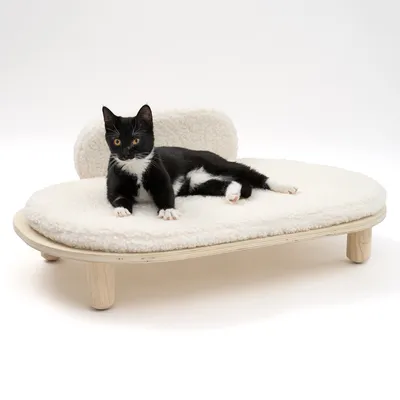 Schwarze Katze liegt auf einem weissen, gepolsterten Haustierbett mit Holzbeinen und Rückenlehne.
