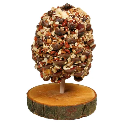 Karmnik z drewna z ziarnami, orzechami i suszonymi owocami, zamontowany na drewnianym krążku.