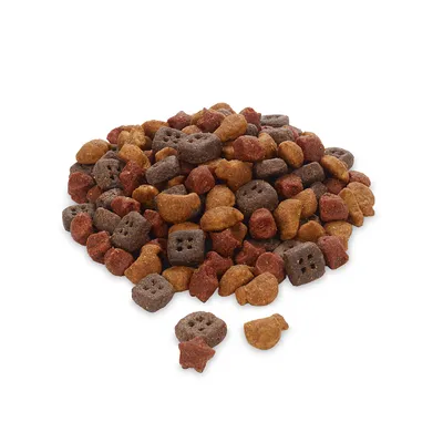 Bunte Mischung aus Trockenfutterstücken in verschiedenen Formen und Farben, darunter braun, rot und orange.