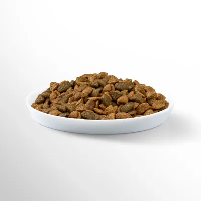Bowl filled with brown and dark brown dry pet food pieces. No visible brand or text.