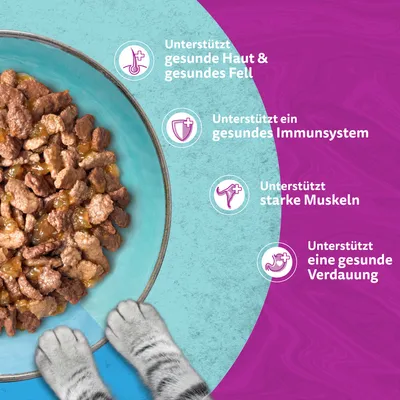 Jumbopack Whiskas Duo Portionsbeutel 144 x 85 g