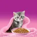 Whiskas Junior tasakos