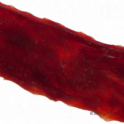 Primer plano de una tira de carne roja, aparentemente seca. No se observan más detalles.
