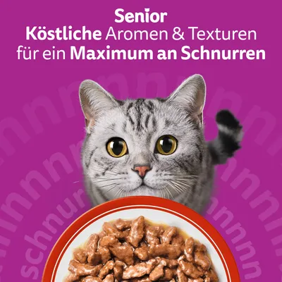 Jumbopack Whiskas Senior Frischebeutel 96 x 85 g Jumbopack Whiskas Senior Frischebeutel 96 x 85 g