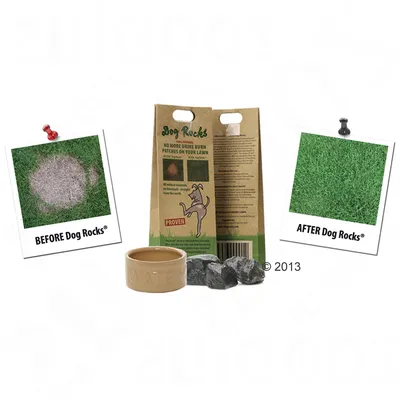 Dog Rocks termékkép előtte-utána összehasonlítással: előtte barna foltok a gyepen, utána zöld gyep. Csomagolás és kövek láthatók. Szöveg: Nincs több vizeletfolt a gyepen.