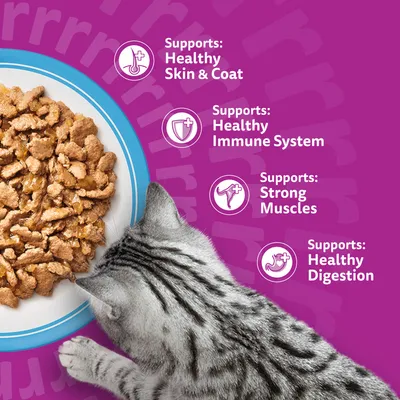Whiskas 1+ Fish Favourites in Jelly Whiskas 1+ Fish Favourites in Jelly