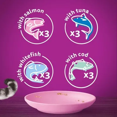 Afbeelding toont tekst: with salmon x3, with tuna x3, with whitefish x3, with cod x3. Vier vissoorten met elk drie porties afgebeeld op paarse achtergrond.