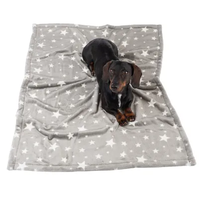 Γκρι κουβέρτα σκύλου με λευκά αστέρια, πάνω της ξαπλώνει ένα ντάκσελ.