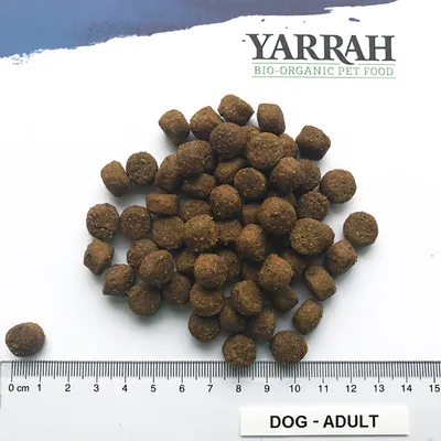 Granule Yarrah Bio-Organic Pet Food pentru câini adulți, prezentate lângă o riglă cu gradații 0–15 cm pentru a evidenția dimensiunea. Text vizibil: DOG - ADULT.