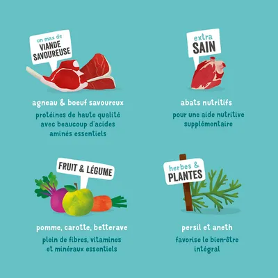 Illustration avec textes : agneau & bœuf savoureux, abats nutritifs, pomme carotte betterave, persil et aneth. Mots-clés visibles : viande savoureuse, extra sain, fruit & légume, herbes & plantes.