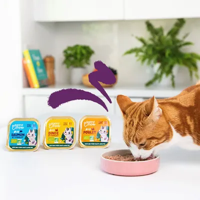 Edgard Cooper Bio kattenvoer voor volwassen katten: zalm & kip, kalkoen & kip, kip. Kat eet uit roze voerbak. Bio-certificaat zichtbaar.