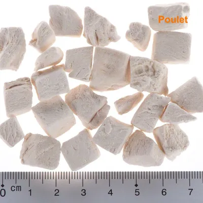 Morceaux de friandises lyophilisées, étiquette visible « Poulet », règle en centimètres pour référence de taille.