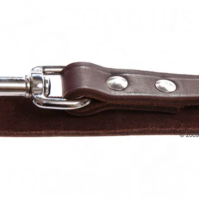 Gros plan sur une laisse en cuir marron avec mousqueton métallique et rivets visibles. Matière : cuir et métal.