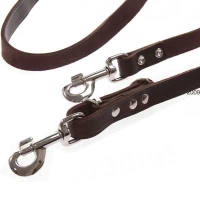 Laisse pour chien en cuir brun avec deux mousquetons métalliques et rivets visibles, poignée intégrée. Matériaux : cuir et métal.
