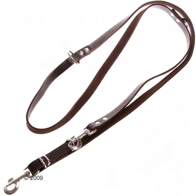 Laisse pour chien en cuir brun avec mousqueton métallique et plusieurs anneaux de réglage visibles. Boucles et rivets métalliques apparents.