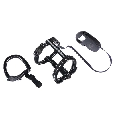 Svart sele-set med reflexprickar, inklusive halsband, bröstsele och indragbart koppel.