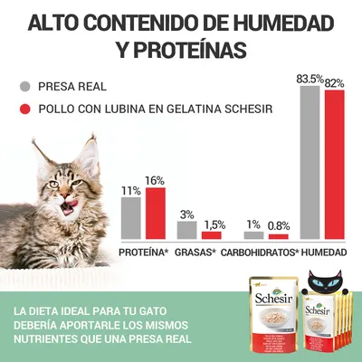 Gráfico comparativo de nutrientes entre presa real y Schesir Pollo con lubina en gelatina; destaca alto contenido de humedad y proteínas. Imagen de gato y envases de Schesir visibles.