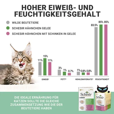 Hoher Eiweiss- und Feuchtigkeitsgehalt. Vergleich von Nährwerten: Schesir Hähnchen Gelee, Schesir Hähnchen mit Schinken in Gelee und wilde Beutetiere. Ideale Ernährung für Katzen.