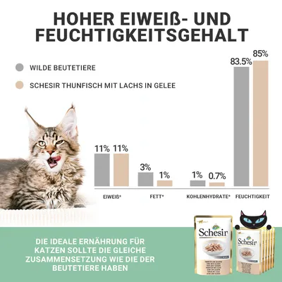 Hoher Eiweiss- und Feuchtigkeitsgehalt. Vergleich: Wilde Beutetiere vs. Schesir Thunfisch mit Lachs in Gelee. Ideale Ernährung für Katzen sollte gleiche Zusammensetzung wie Beutetiere haben.