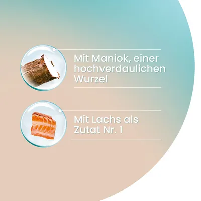 Texte en allemand : Mit Maniok, einer hochverdaulichen Wurzel. Mit Lachs als Zutat Nr. 1.