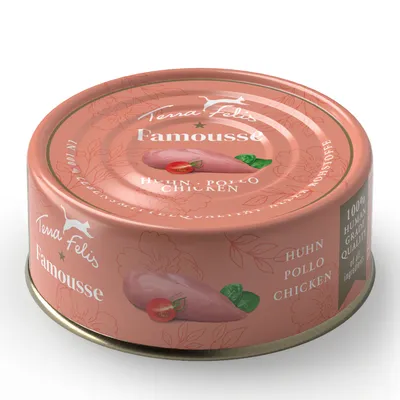 Pachet economic Terra Felis Famousse 24 x 80 g