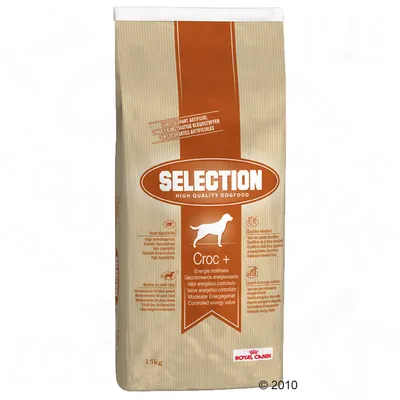 Royal Canin Selection Croc+ Hundefutter, 15kg, hohe Verdaulichkeit, moderater Energiegehalt, ohne künstliche Farbstoffe.