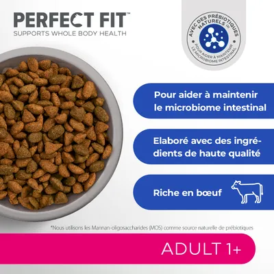 PERFECT FIT croquettes, pour aider à maintenir le microbiome intestinal, élaboré avec des ingrédients de haute qualité, riche en bœuf, ADULT 1+, avec prébiotiques naturels.