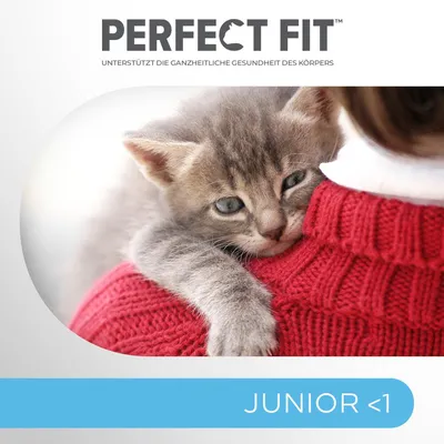 Perfect Fit Junior <1. Unterstützt die ganzheitliche Gesundheit des Körpers.
