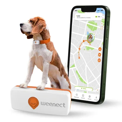 Weenect animal de compagnie GPS Tracker XS pour chien