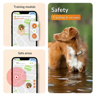 Weenect Pet GPS Tracker XS dla psów