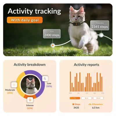 Weenect Pet XS GPS nyomkövető macskáknak