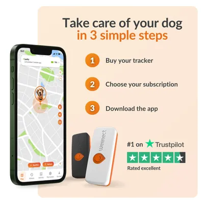 Weenect Pet GPS тракер XS за кучета