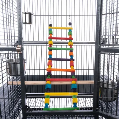 Échelle suspendue en bois multicolore à barreaux, installée dans une cage métallique avec deux gamelles en acier inoxydable et un perchoir en bois clair visibles.