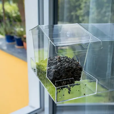 Transparent plastic bird feeder with suction cups, filled with sunflower seeds, attached to a glass pane.